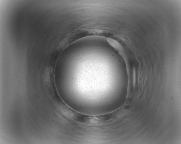 X0000069410229200605151053