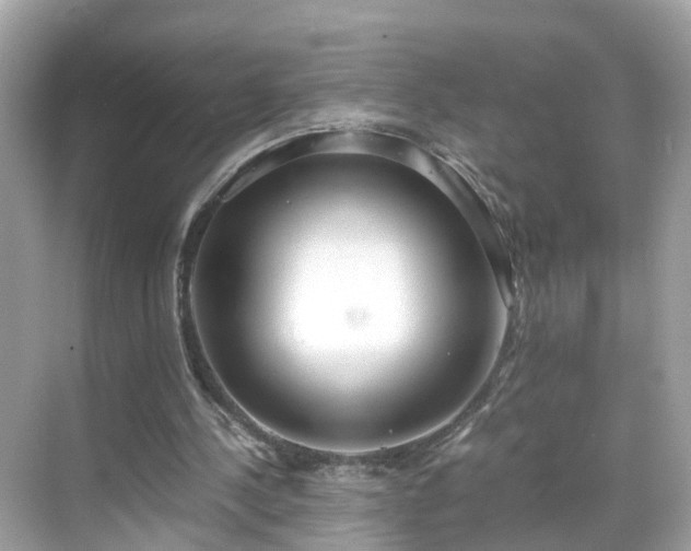 X0000069410244200605151052
