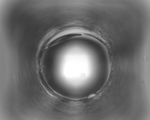 X0000069410245200605151052