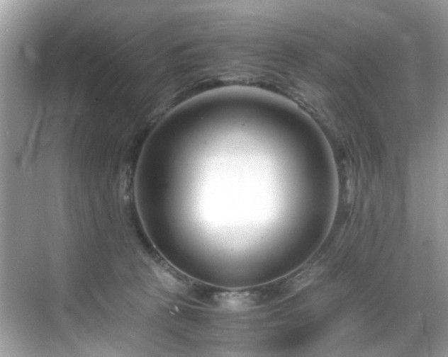 X0000069410273200605151052