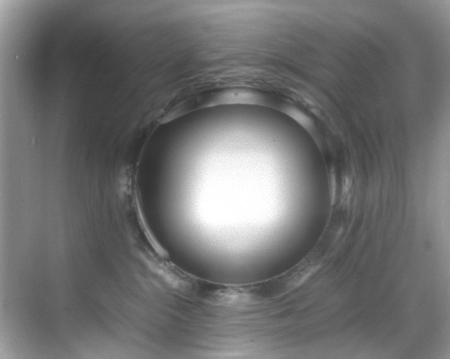 X0000069410284200605151052