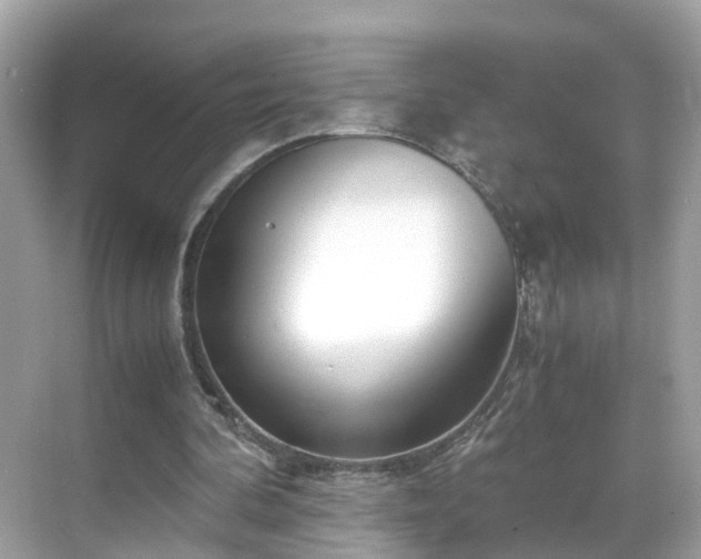 X0000069410292200605151052