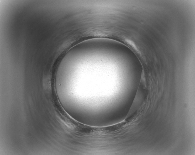 X0000069410299200605151051