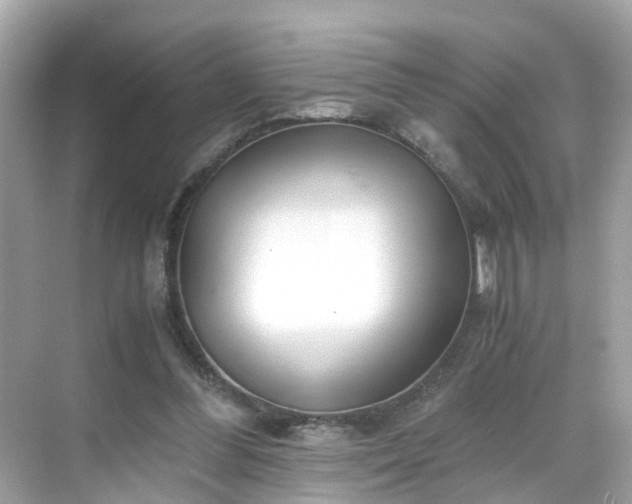 X0000069410300200605151051