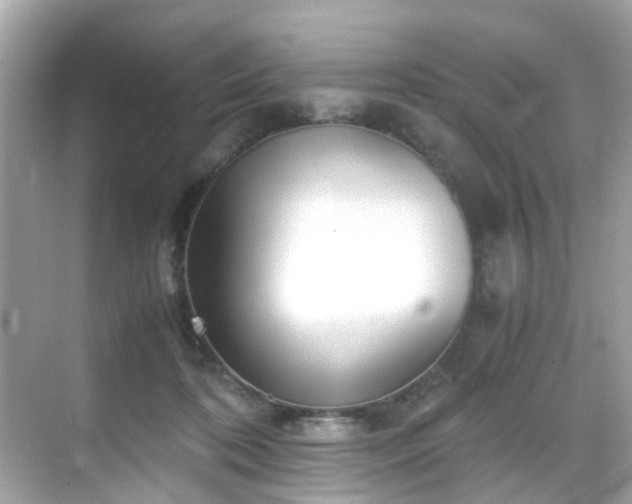 X0000069410316200605151051