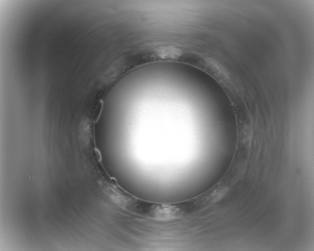 X0000069410321200605151051