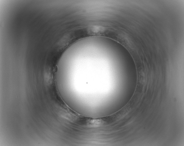 X0000069410324200605151051