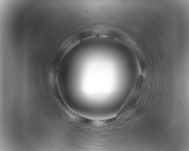 X0000069410333200605151051