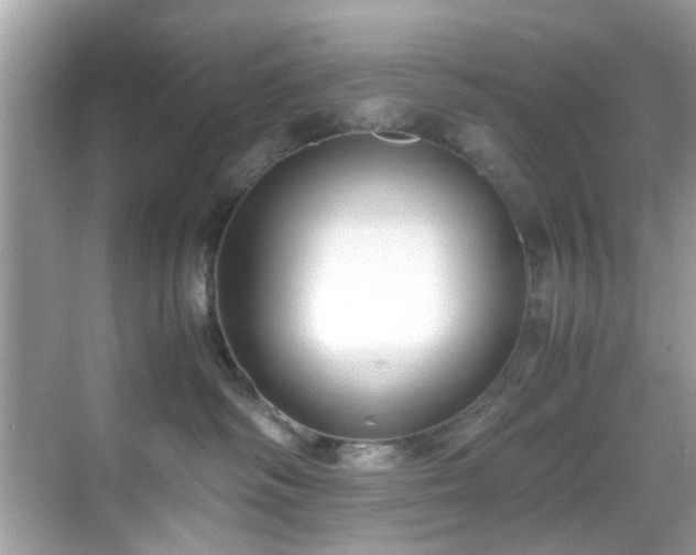 X0000069410334200605151051
