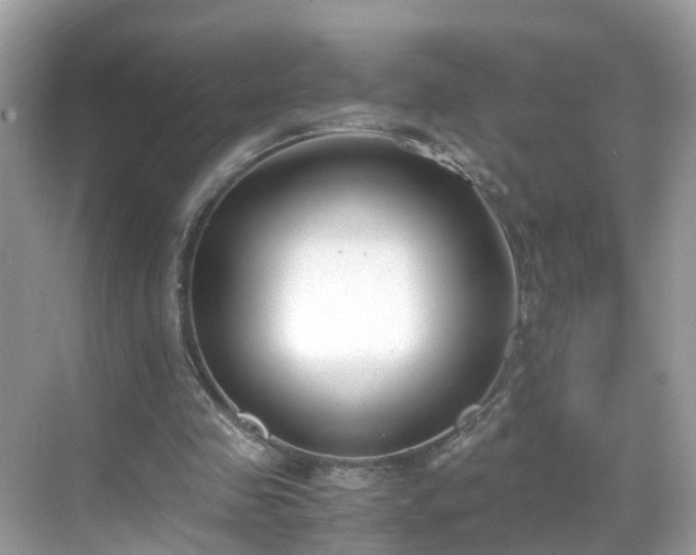 X0000069410341200605151050