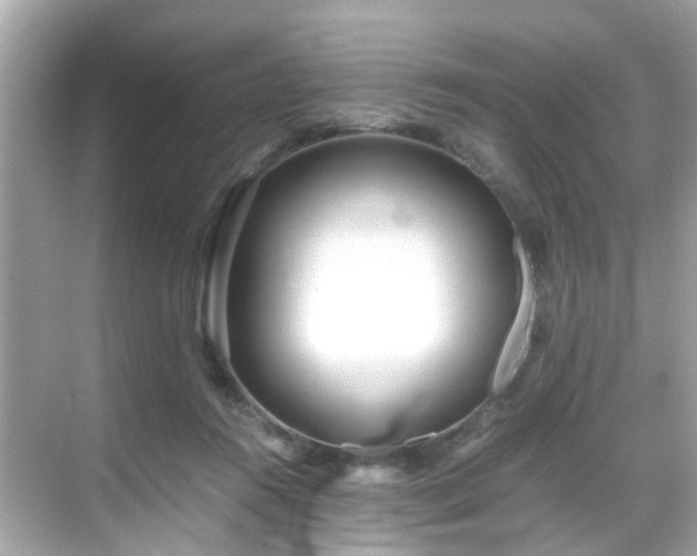 X0000069410360200605151050