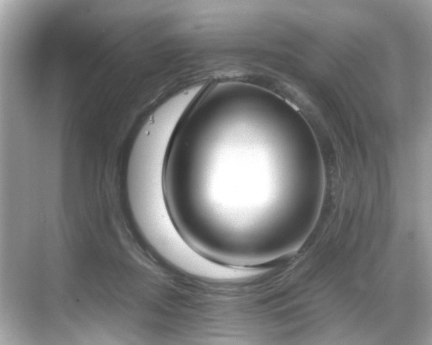 X0000069410362200605151050
