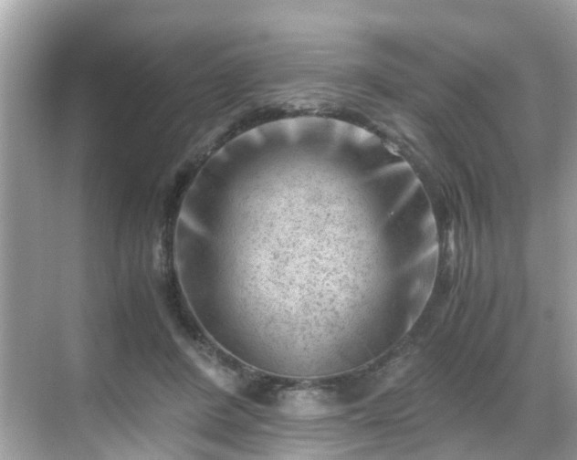 X0000069410408200605151050