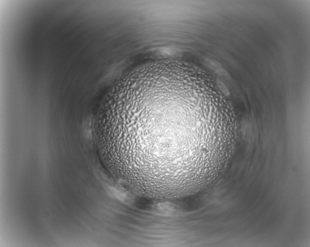 X0000069410423200605151049