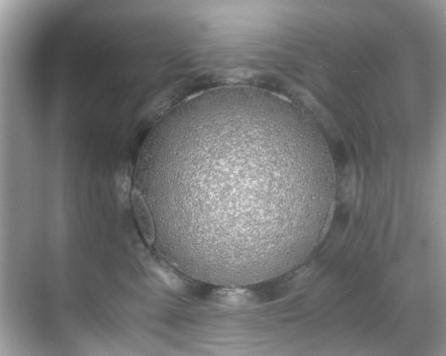 X0000069410427200605151049