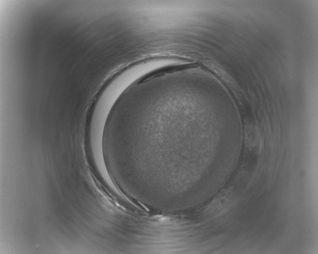 X0000069410434200605151048