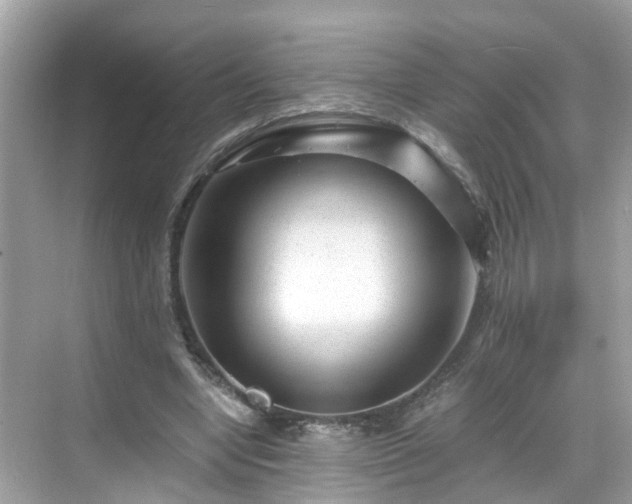 X0000069410442200605151049