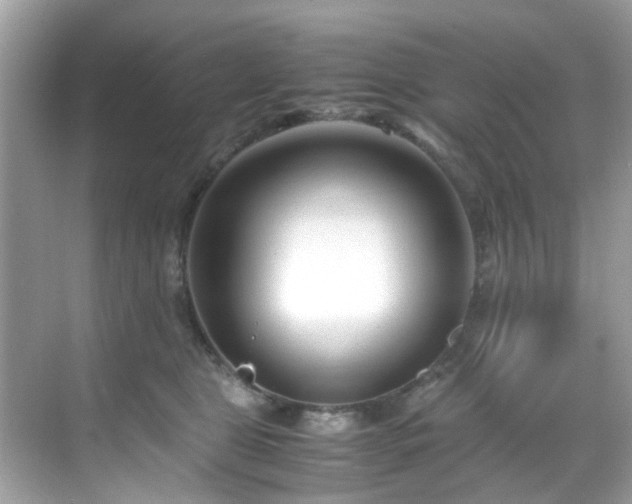X0000069410469200605151049
