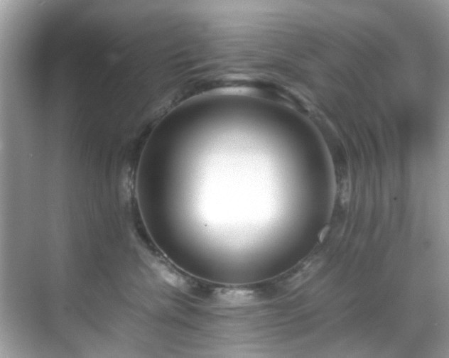 X0000069410476200605151049