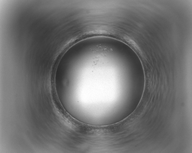 X0000069410482200605151048