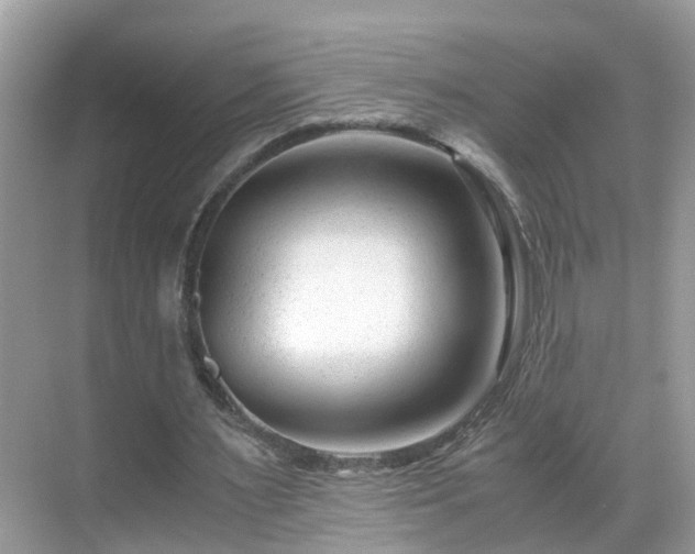 X0000069410483200605151048