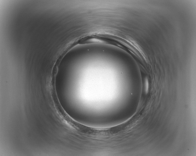 X0000069410485200605151048