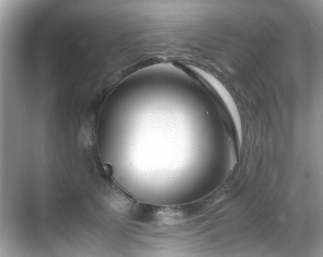 X0000069410515200605151048