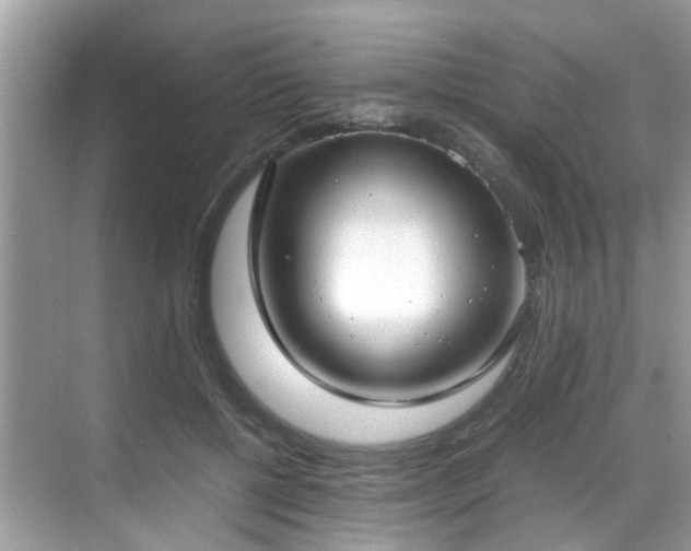 X0000069410552200605151047