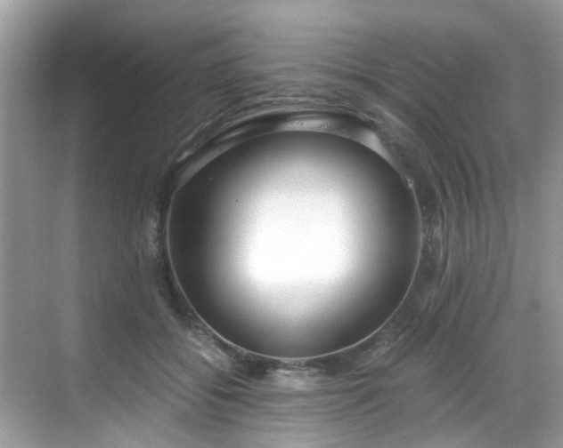 X0000069410556200605151047