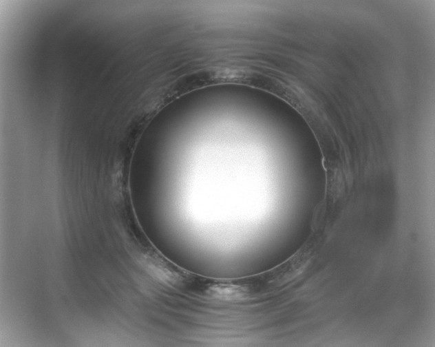 X0000069410557200605151047