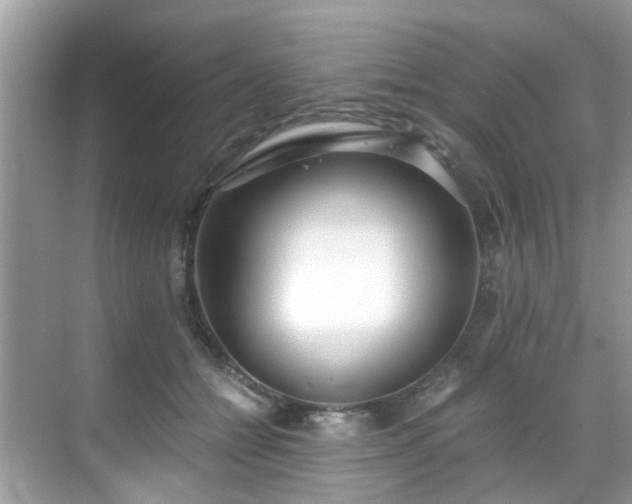 X0000069410558200605151047