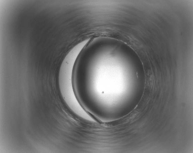 X0000069410562200605151047