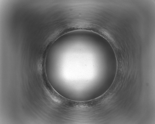 X0000069410586200605151047