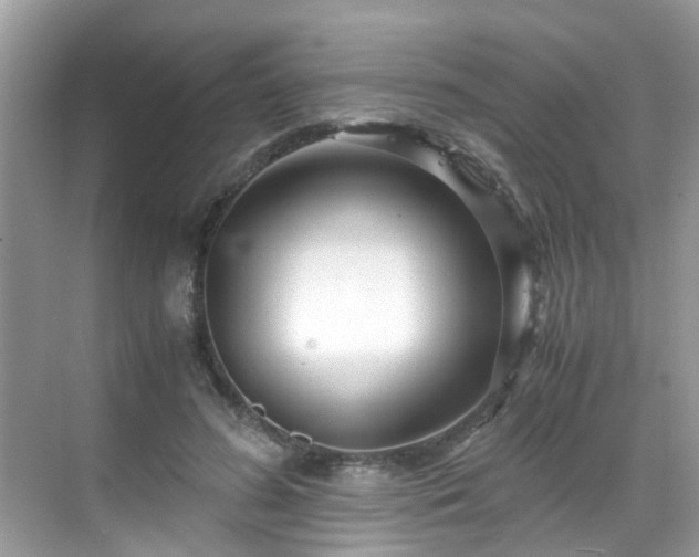 X0000069410596200605151046