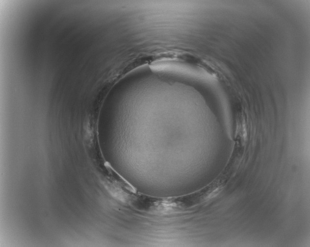 X0000069410607200605151046
