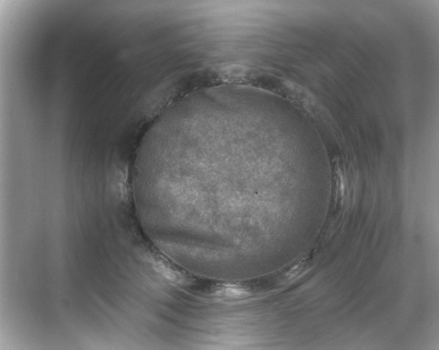 X0000069410610200605151046