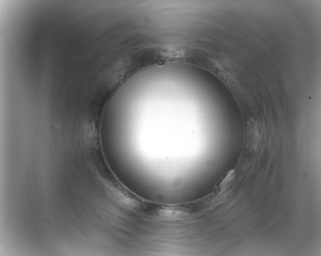 X0000069410614200605151046