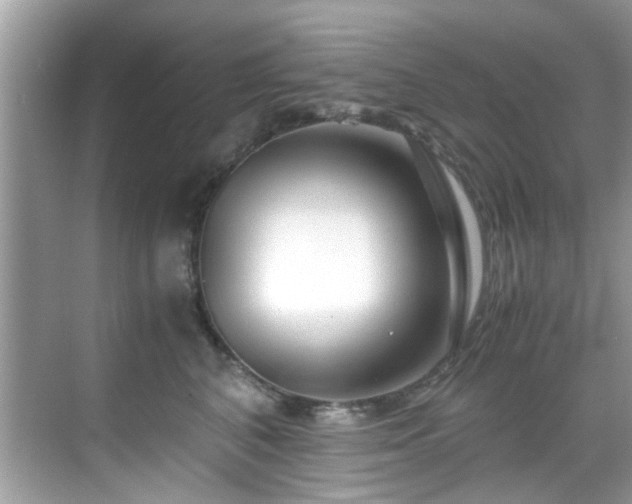 X0000069410616200605151046