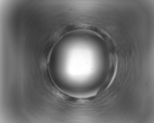 X0000069410617200605151046