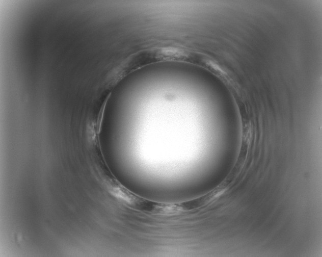 X0000069410621200605151046