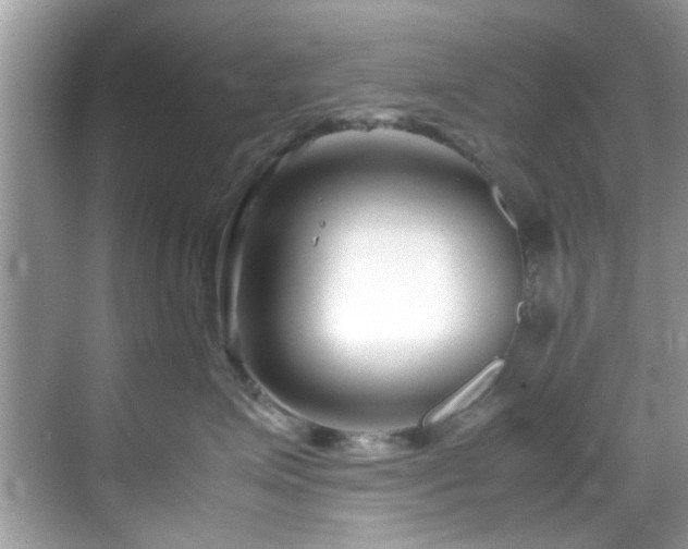 X0000069410623200605151046