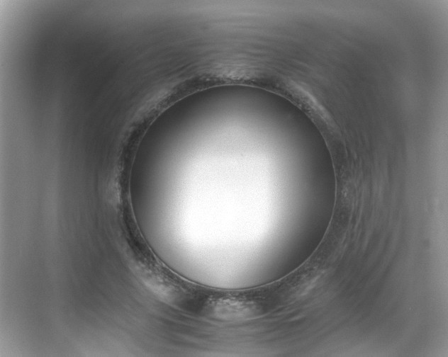X0000069410635200605151045