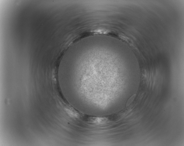 X0000069410663200605151046