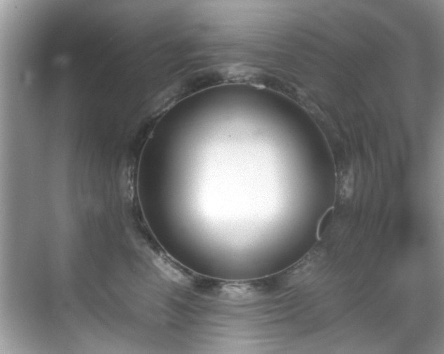 X0000069410666200605151046