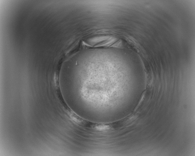 X0000069410669200605151046