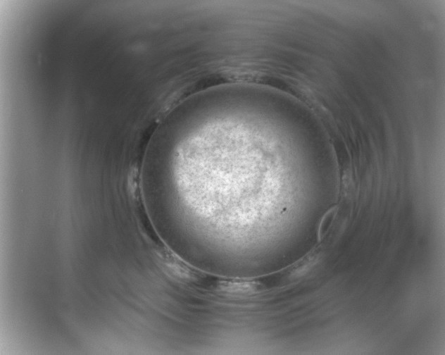 X0000069410671200605151046