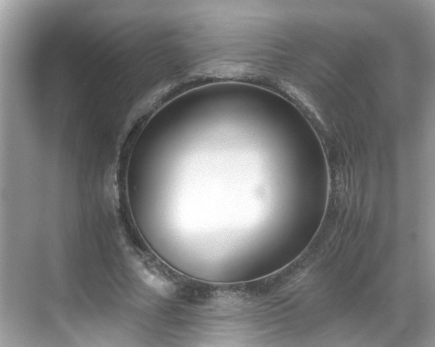 X0000069410682200605151045