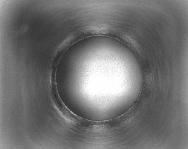 X0000069410686200605151045