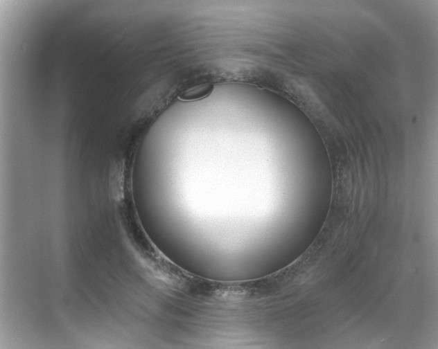 X0000069410694200605151045