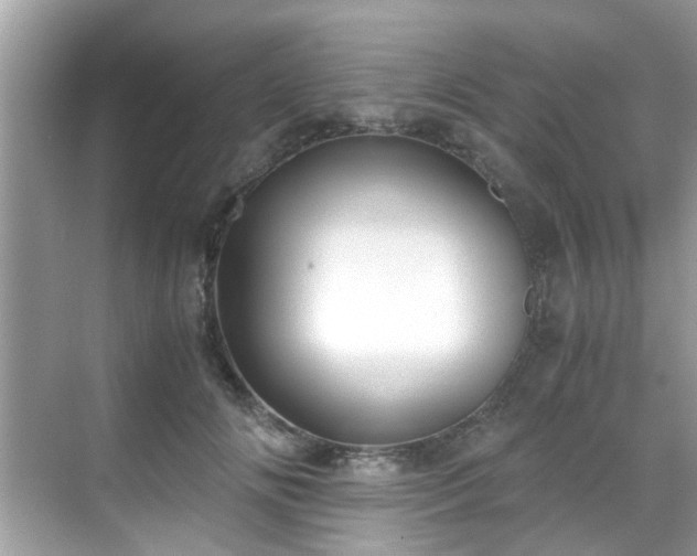 X0000069410702200605151045